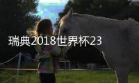 瑞典2018世界杯23人大名单:林德洛夫领衔无伊布