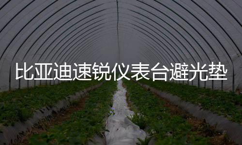 比亚迪速锐仪表台避光垫汽车内饰装饰用品配件中控台改装防晒垫