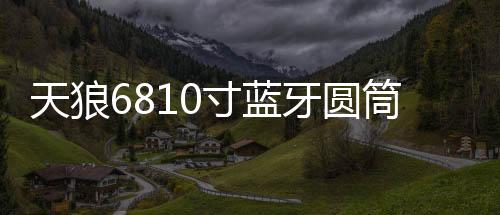 天狼6810寸蓝牙圆筒大功率重低车载有源汽车低音炮12V24V220V音响